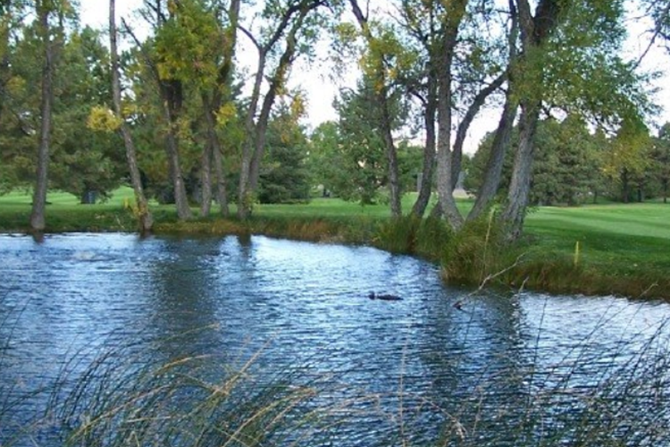 pond on golf course